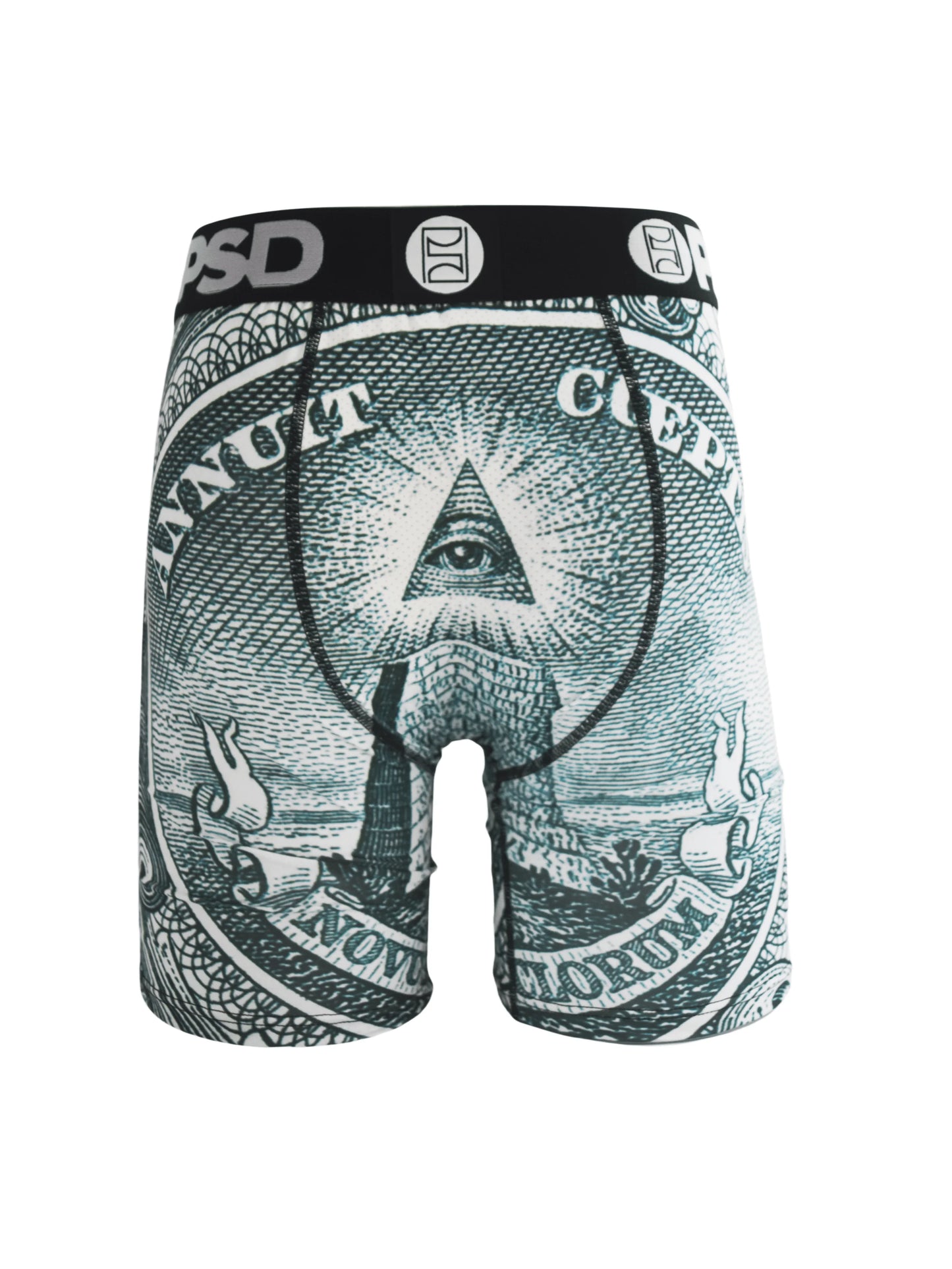 Money Pyramid Boxer Briefs