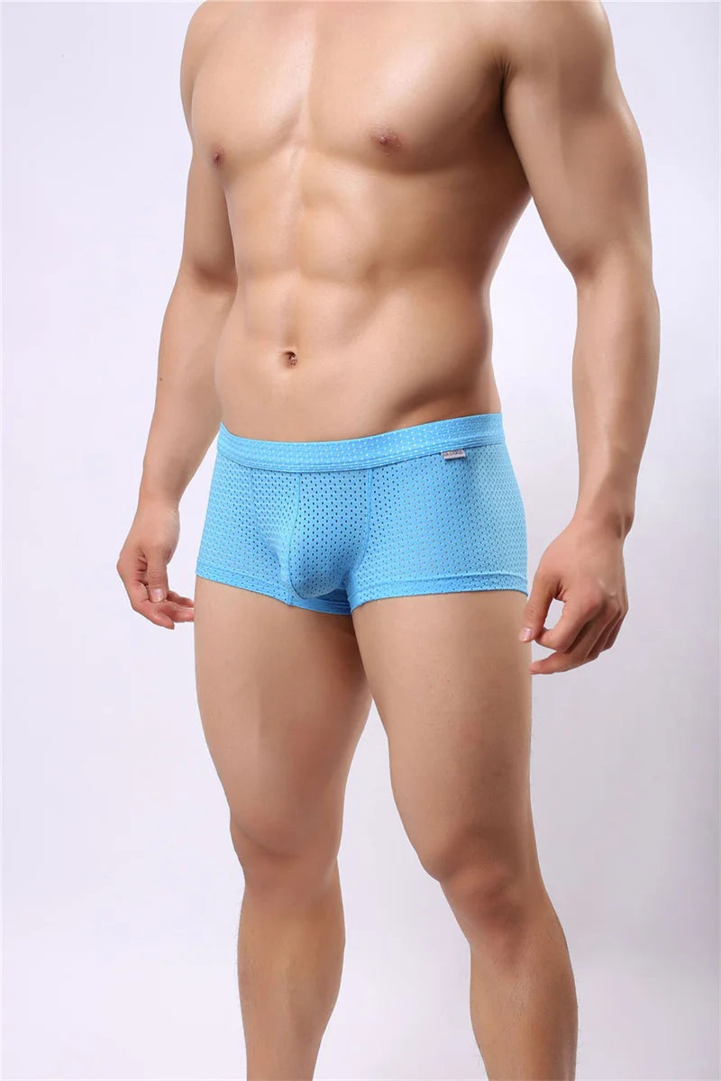 B3 Mesh Boxer Briefs/ Shorts