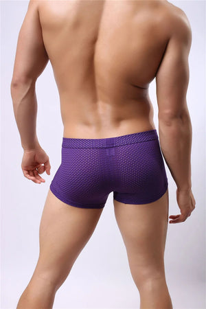 B3 Mesh Boxer Briefs/ Shorts