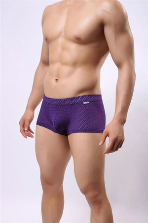 B3 Mesh Boxer Briefs/ Shorts