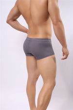 B3 Mesh Boxer Briefs/ Shorts