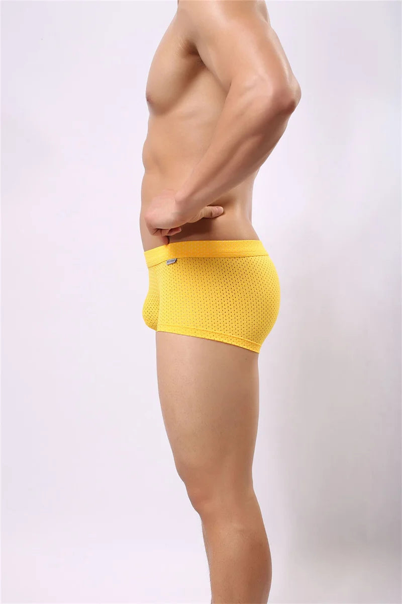 B3 Mesh Boxer Briefs/ Shorts