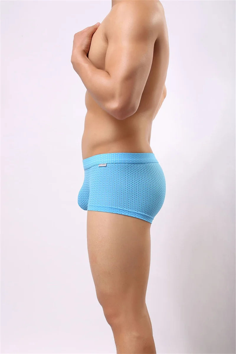 B3 Mesh Boxer Briefs/ Shorts