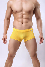 B3 Mesh Boxer Briefs/ Shorts