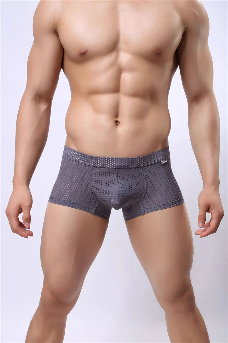 B3 Mesh Boxer Briefs/ Shorts