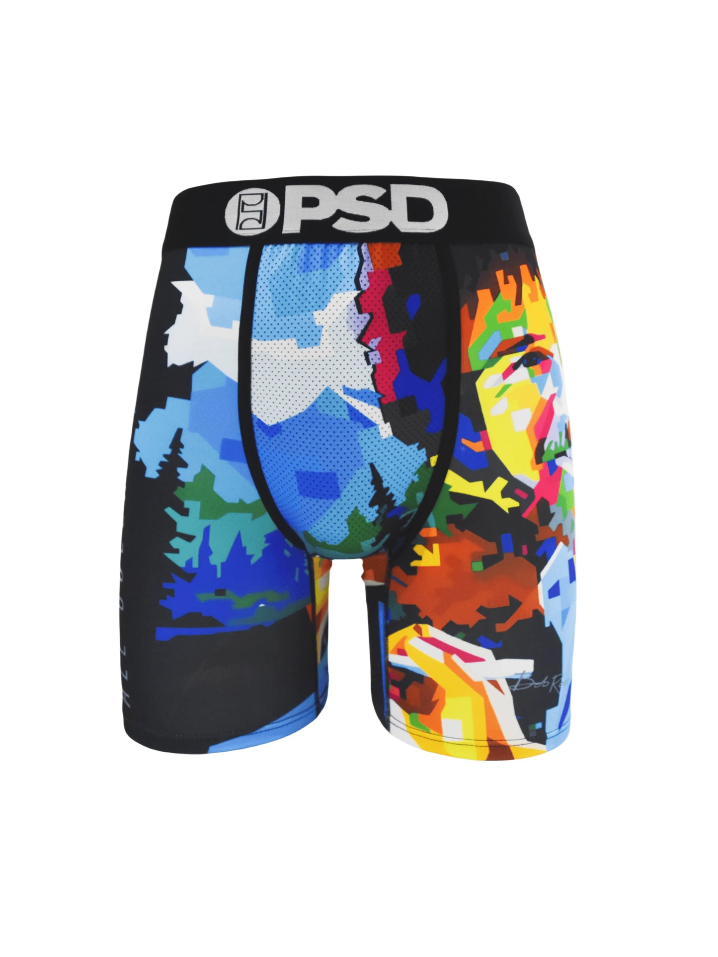 PSD Graphic Boxer Briefs #9